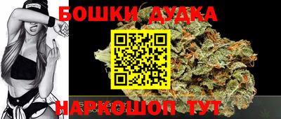 индика Лесосибирск