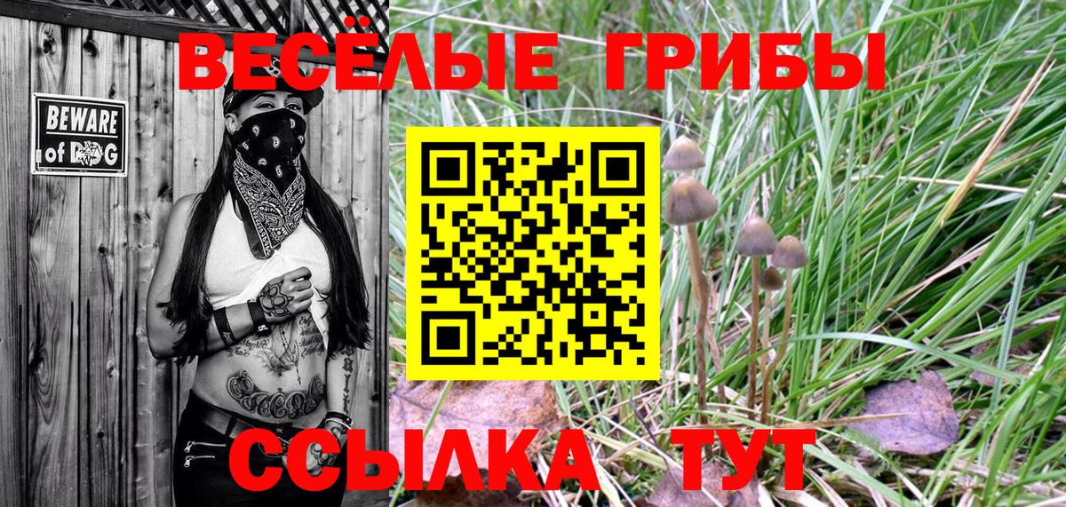 Южноуральск  Псилоцибиновые грибы Magic Shrooms  Вход с VPN 